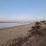 T2 De